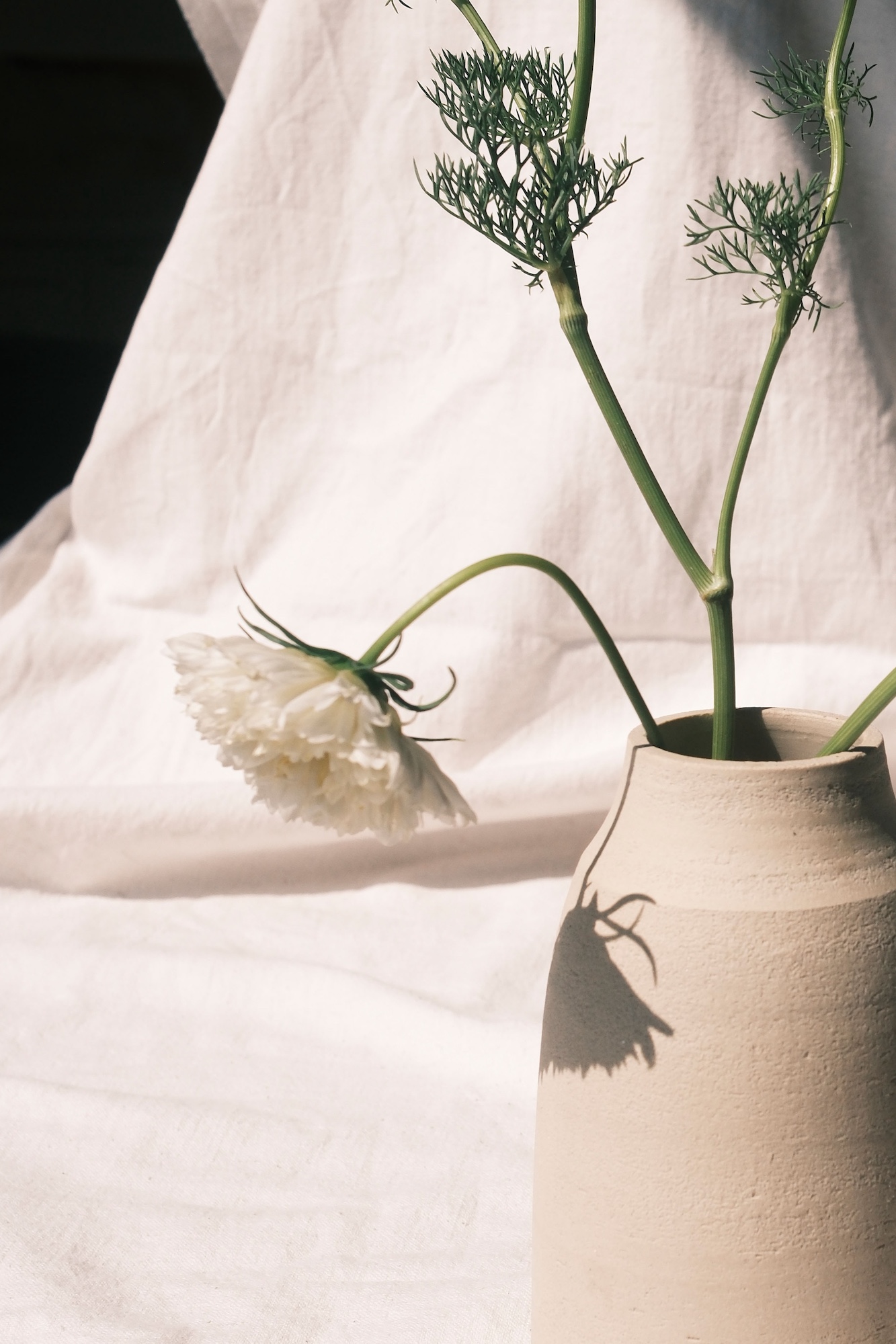 hannah glaser